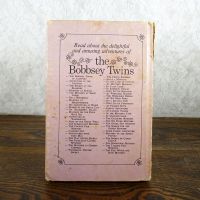 The Bobbsey Twins: The Red, White and Blue Mystery Book: Back - Click to enlarge